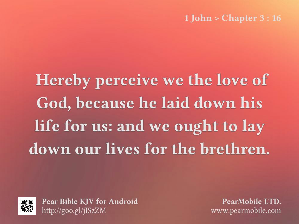 1 John, Chapter 3:16